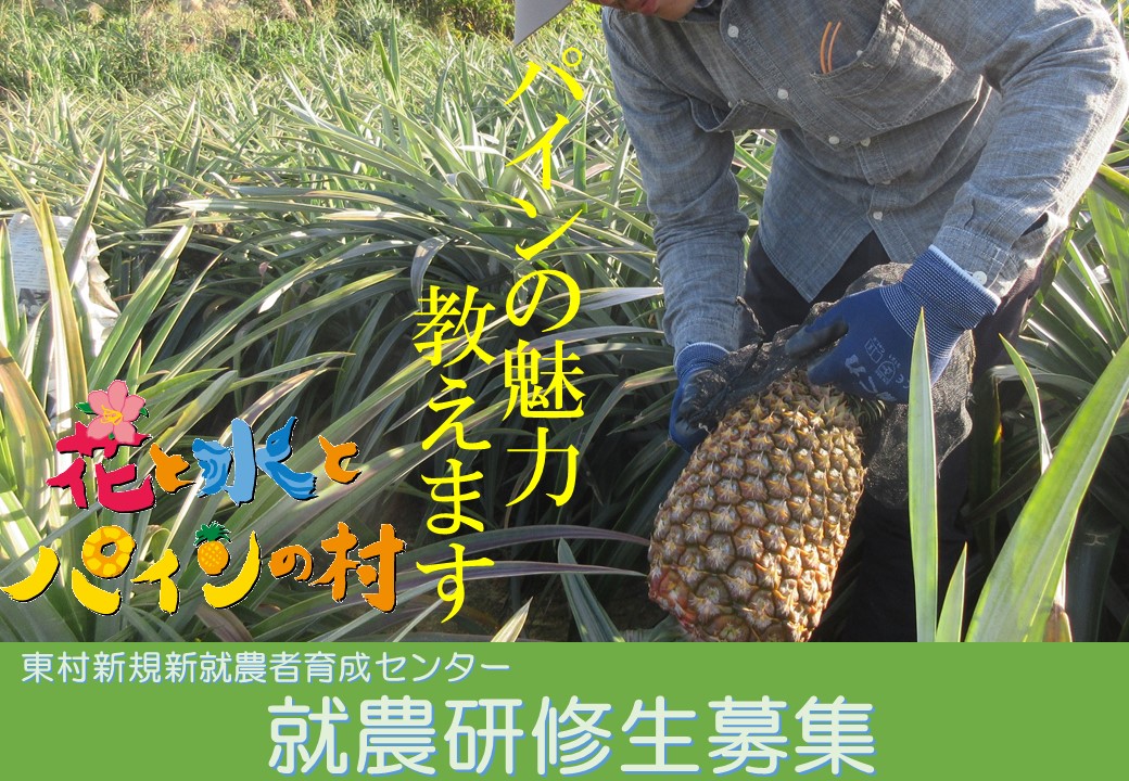 R8研修生募集_表