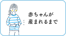 赤ちゃんが産まれるまで