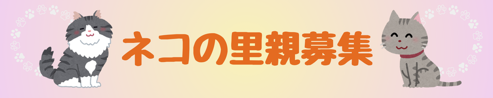 ネコの里親募集バナー