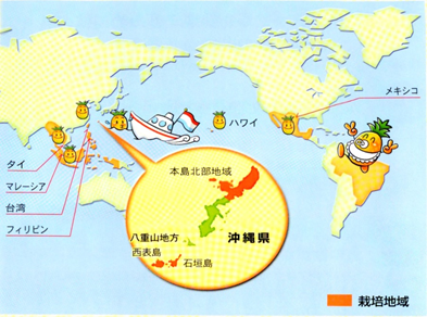 図表 パインアップルの栽培地域（JAおきなわ沖縄の果樹パインアップルより抜粋）