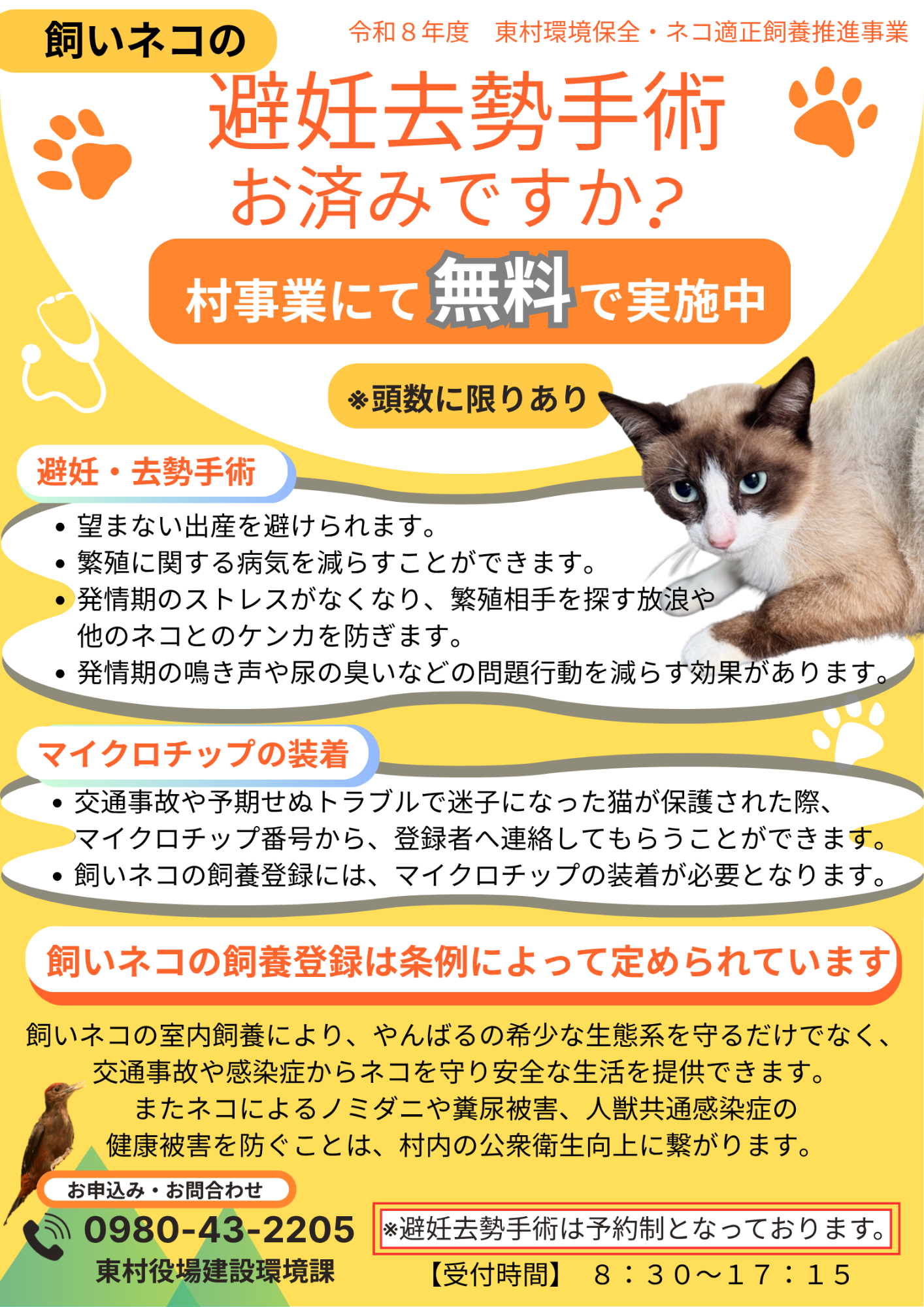 R8飼いネコの避妊去勢無料実施の周知チラシ