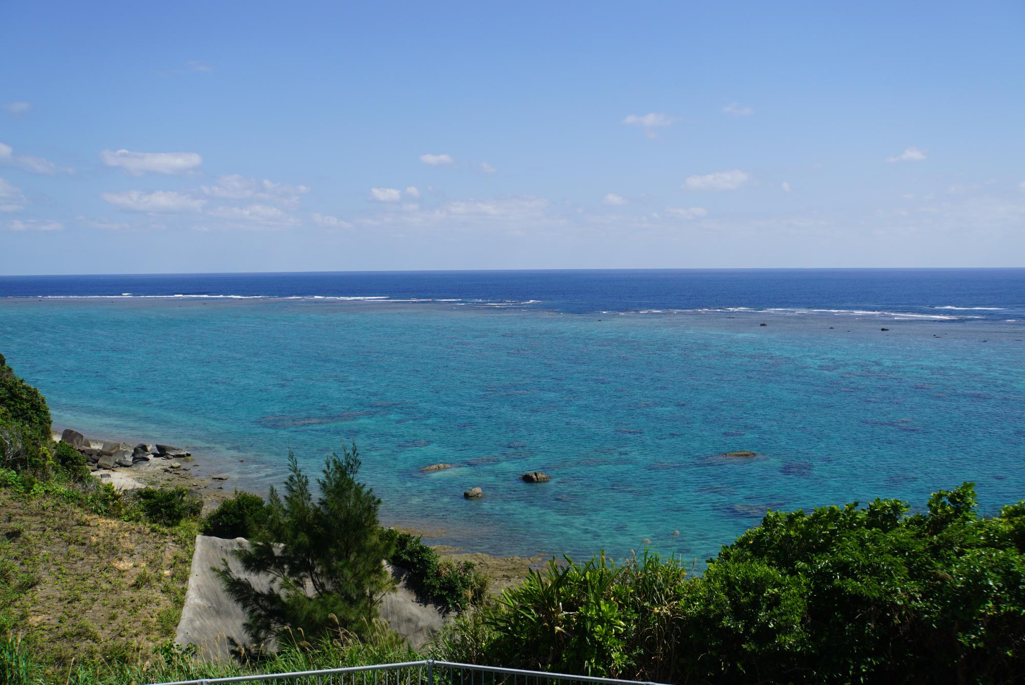 展望台からの風景